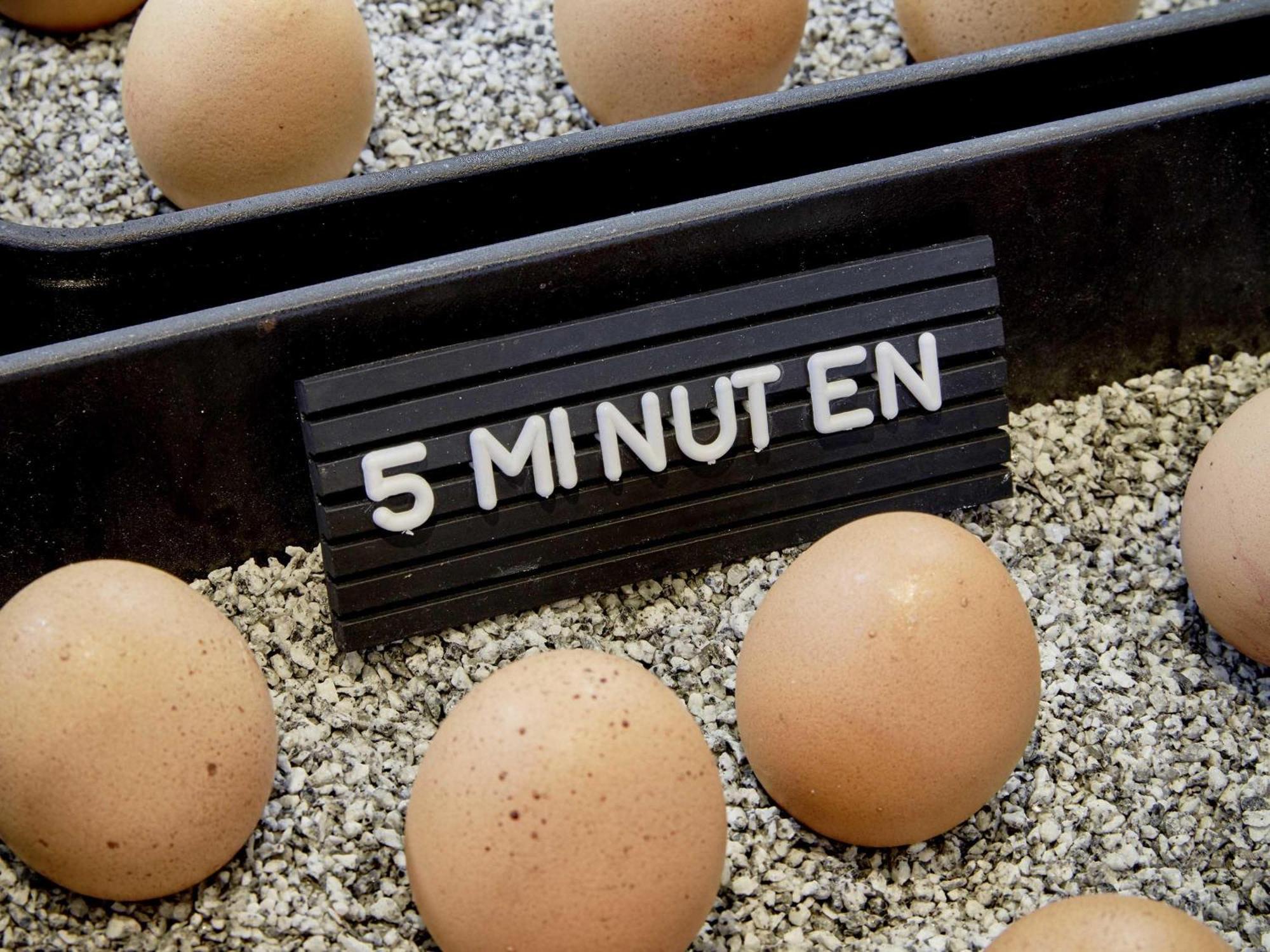 25hours Tour Düsseldorf